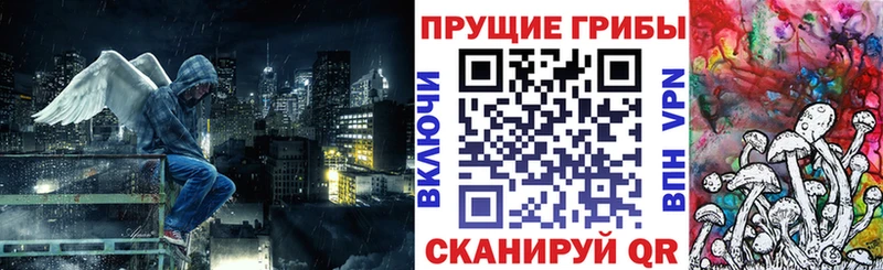 наркотики  Пласт  Псилоцибиновые грибы Psilocybe 